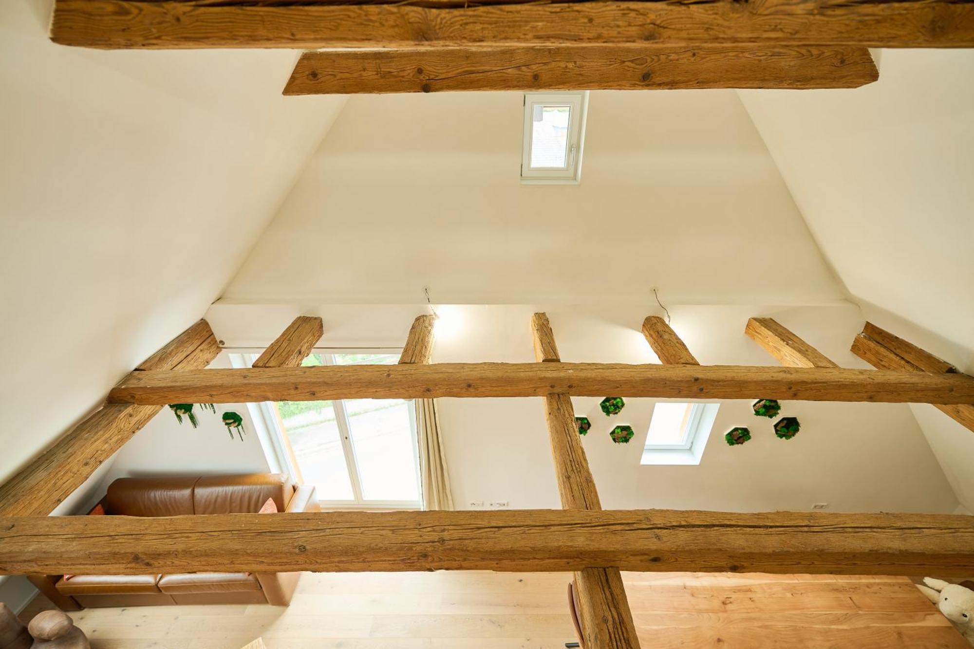 Wood World Luxury - Massage - Bergblick - Tranpolin- Parken Apartment Markdorf Exterior foto